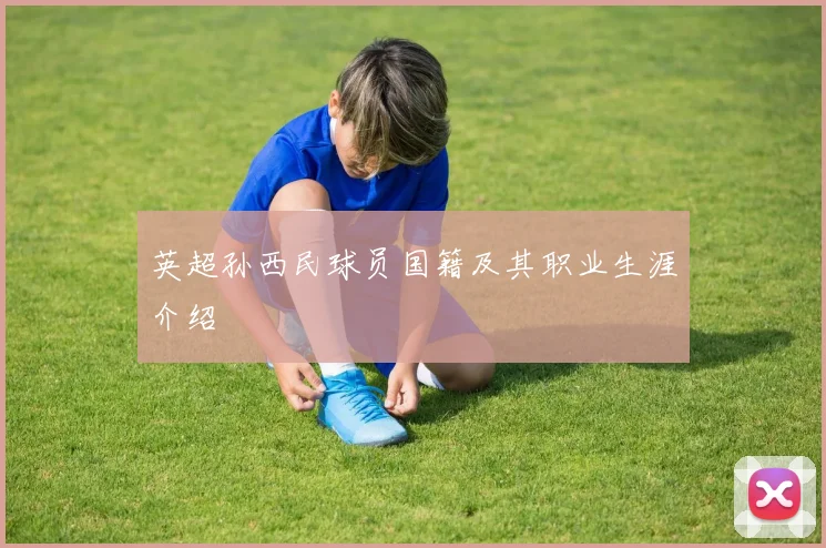 英超孙西民球员国籍及其职业生涯介绍