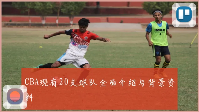 CBA现有20支球队全面介绍与背景资料