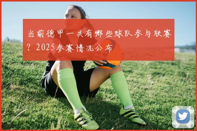 当前德甲一共有哪些球队参与联赛？2025参赛情况公布
