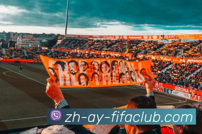 世界杯直播服务体系